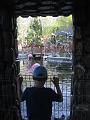 minizoo 39